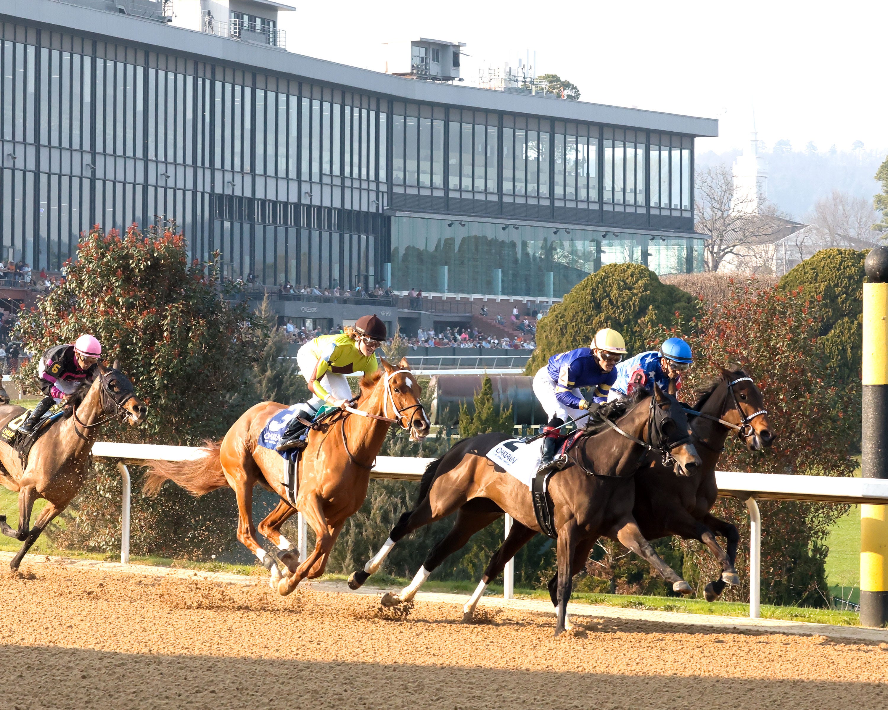DRF's Horse Racing Playbook for Thursday, March 5, 2026
