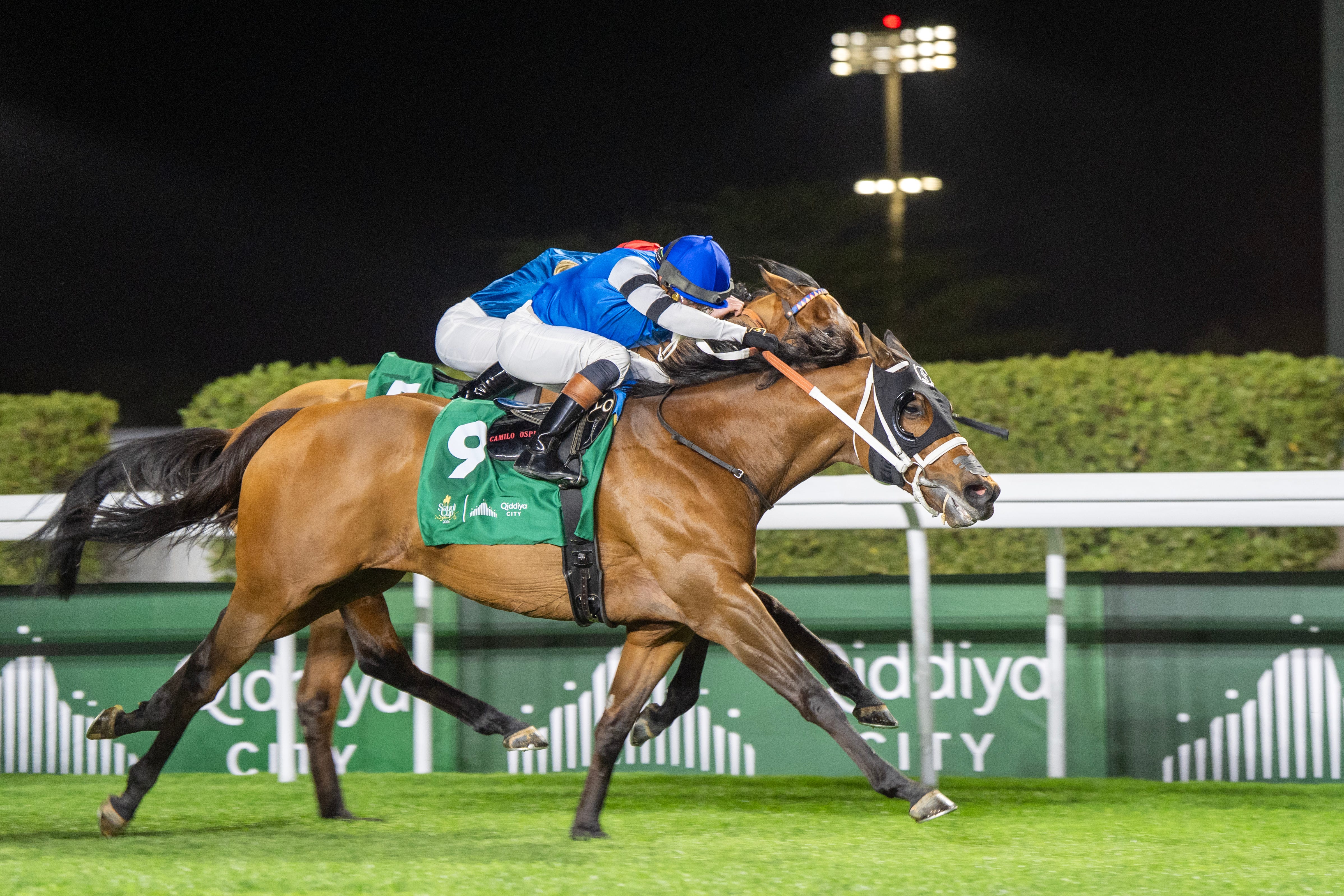 Fawkes flying high after Reef Runner's profitable Middle East adventure