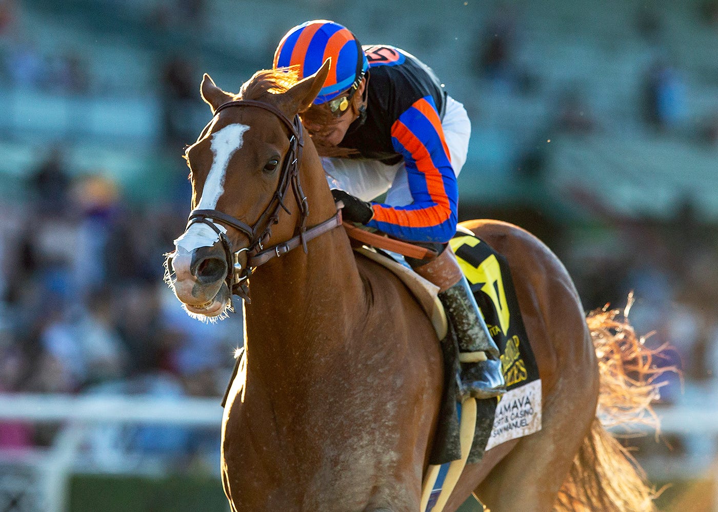 British Isles seeks return to form in Hollywood Gold Cup
