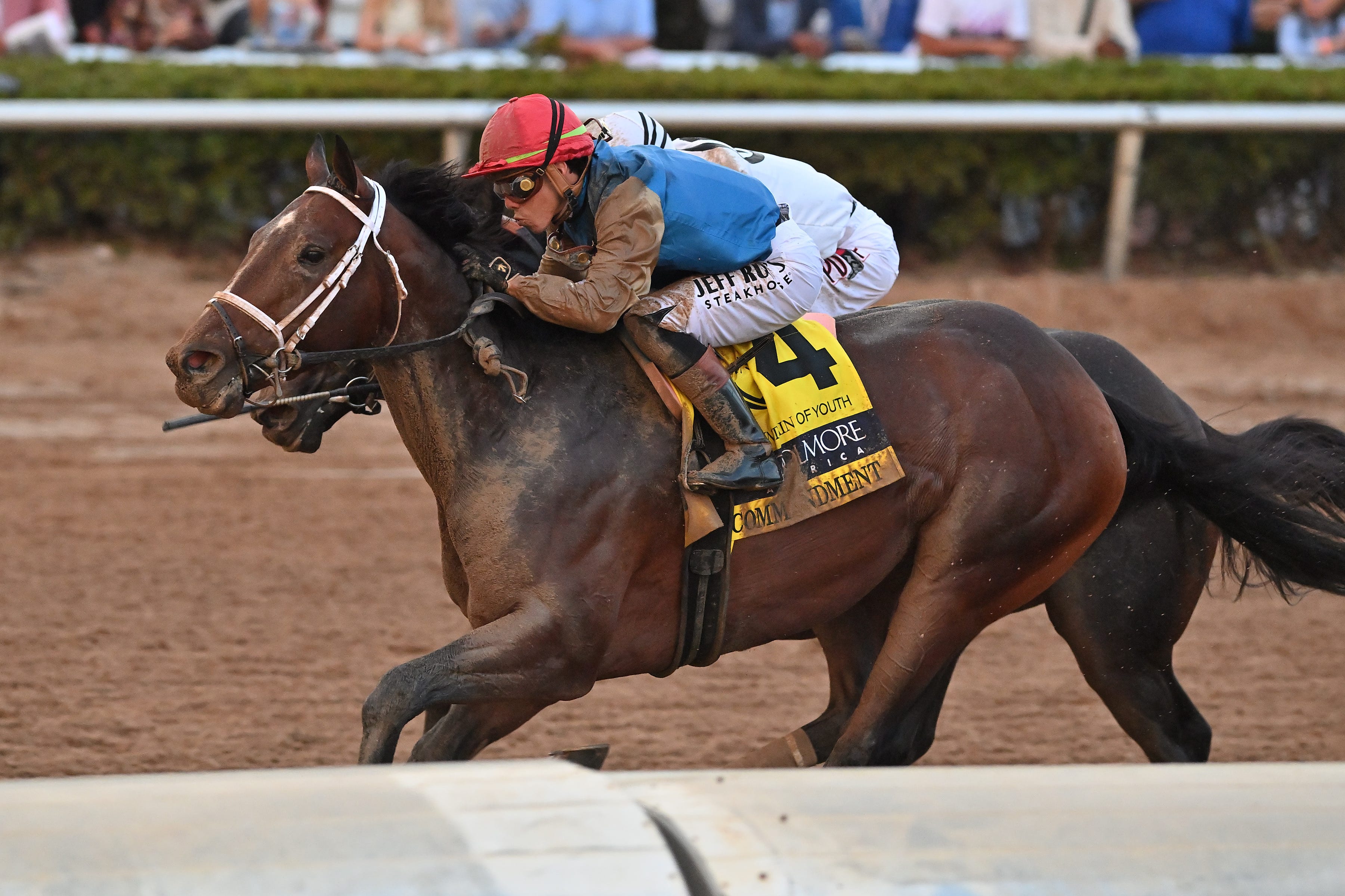Commandment, Chief Wallabee expected to meet again in Florida Derby