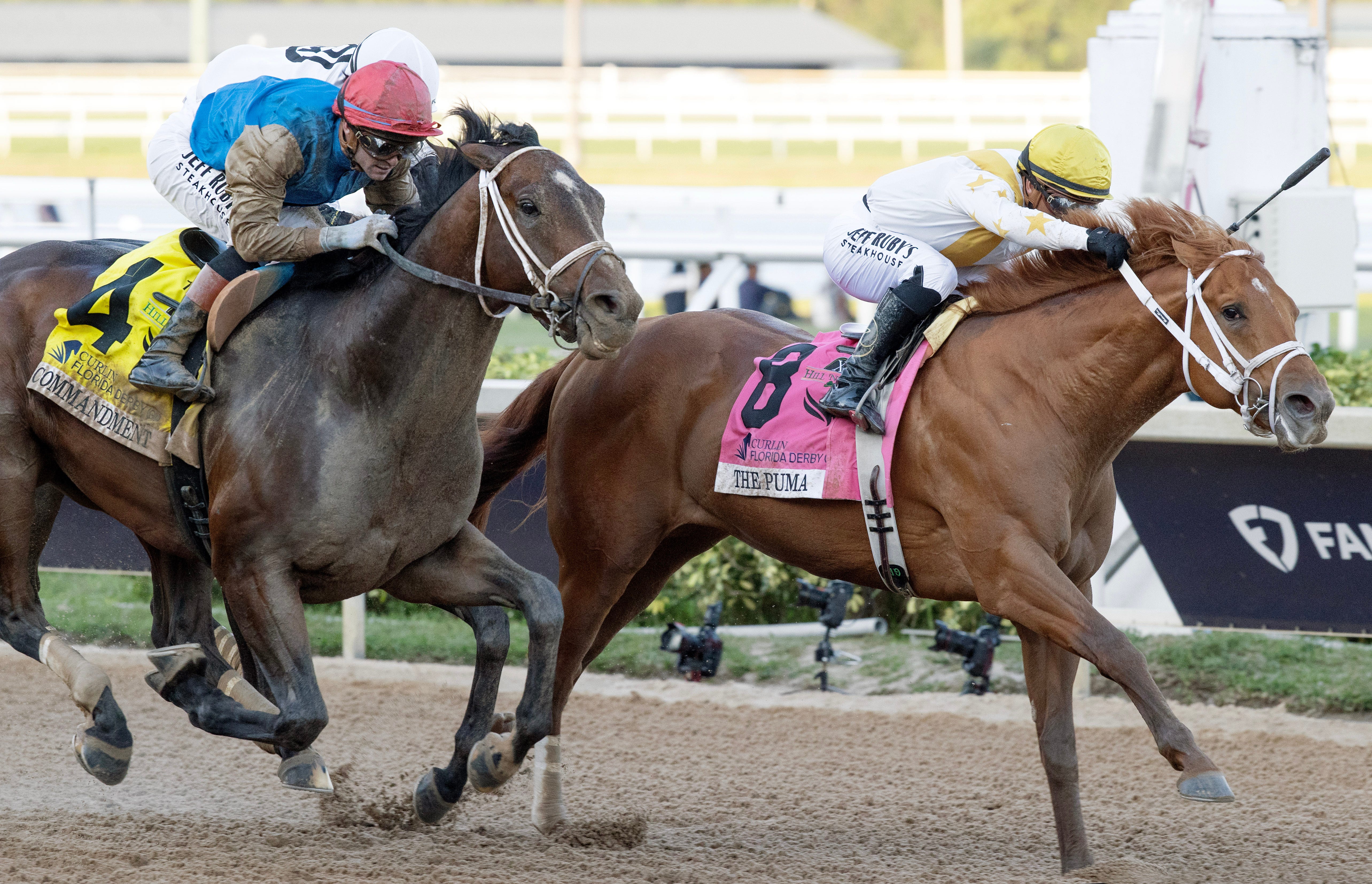 The Puma's camp remains upbeat despite narrow Florida Derby loss