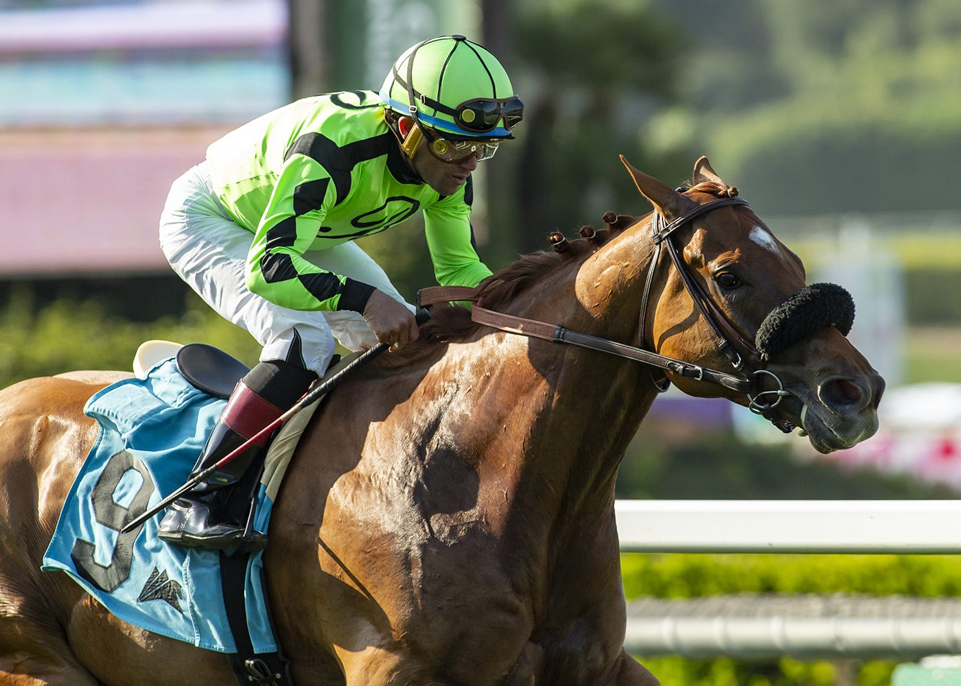 Koriner to space out races for Boss Sully; hopeful for Breeders' Cup Turf Sprint