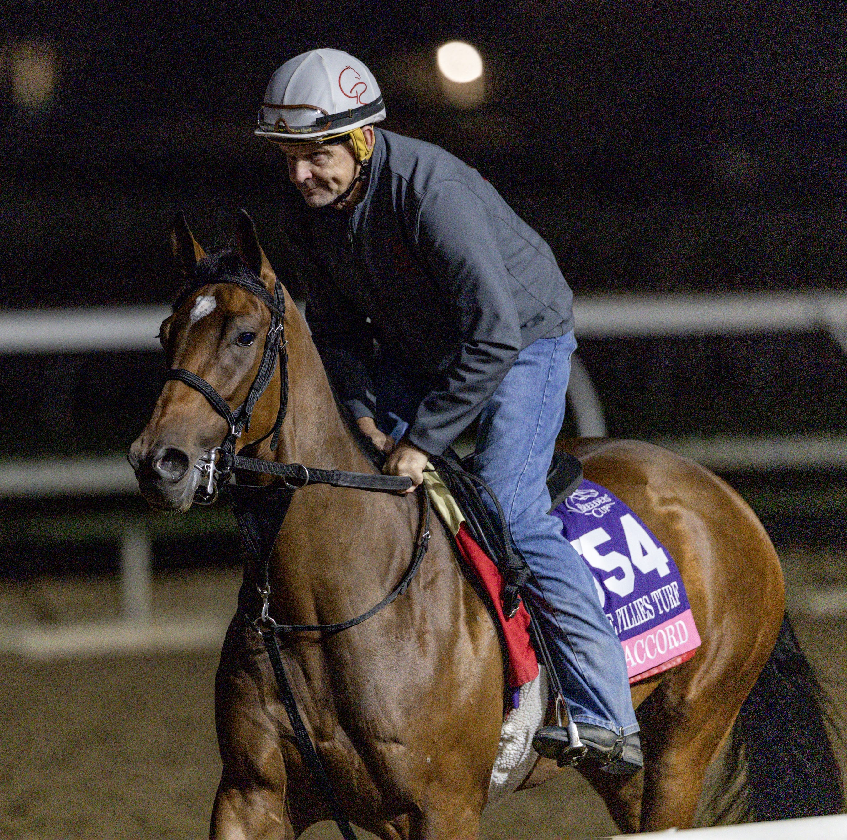 Casse still trying to find Final Accord's best distance in Penn Oaks