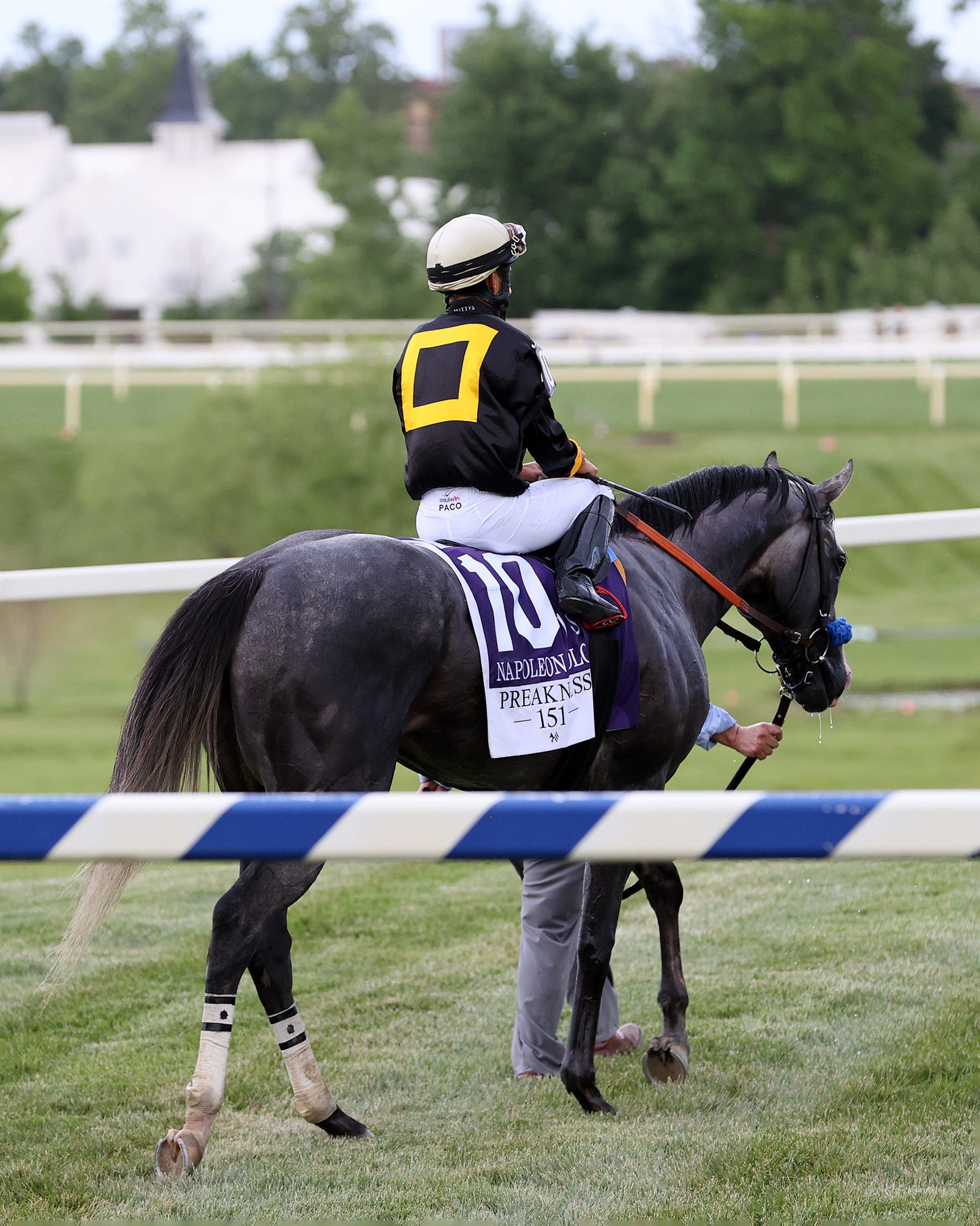 Betting on Preakness down 8 percent