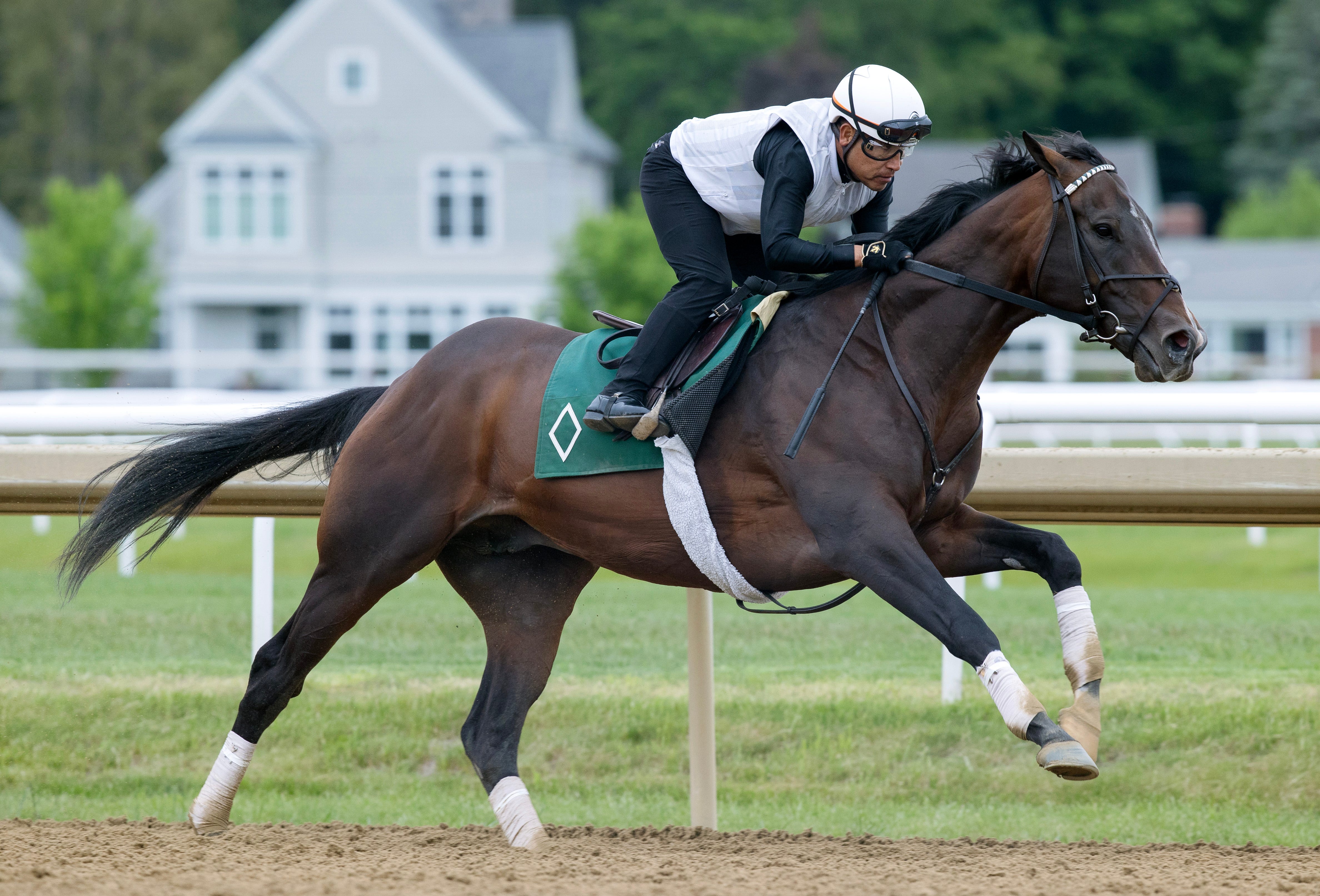 Sovereignty works five furlongs for Stephen Foster
