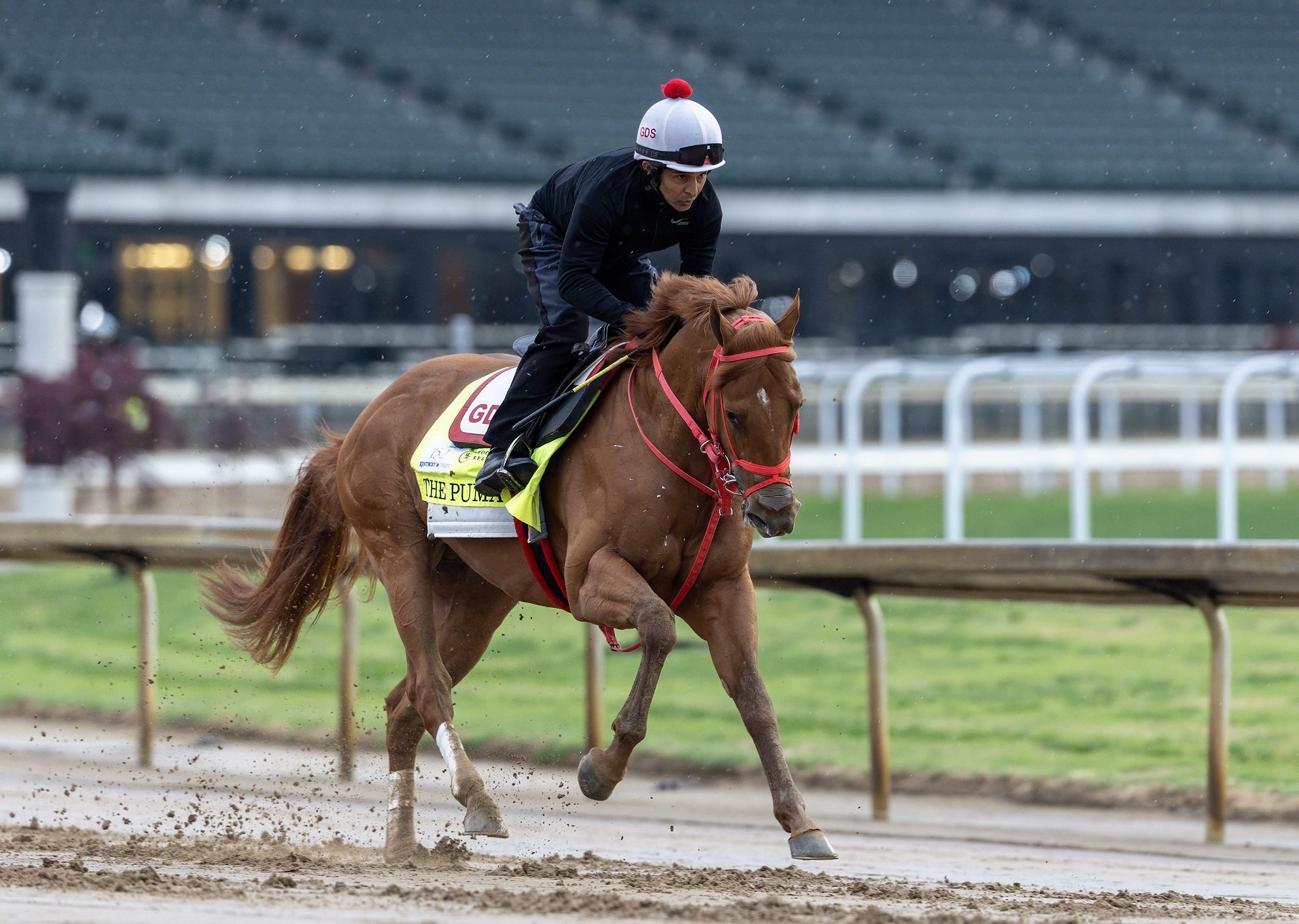 The Puma back at home; pointing toward Haskell, Travers