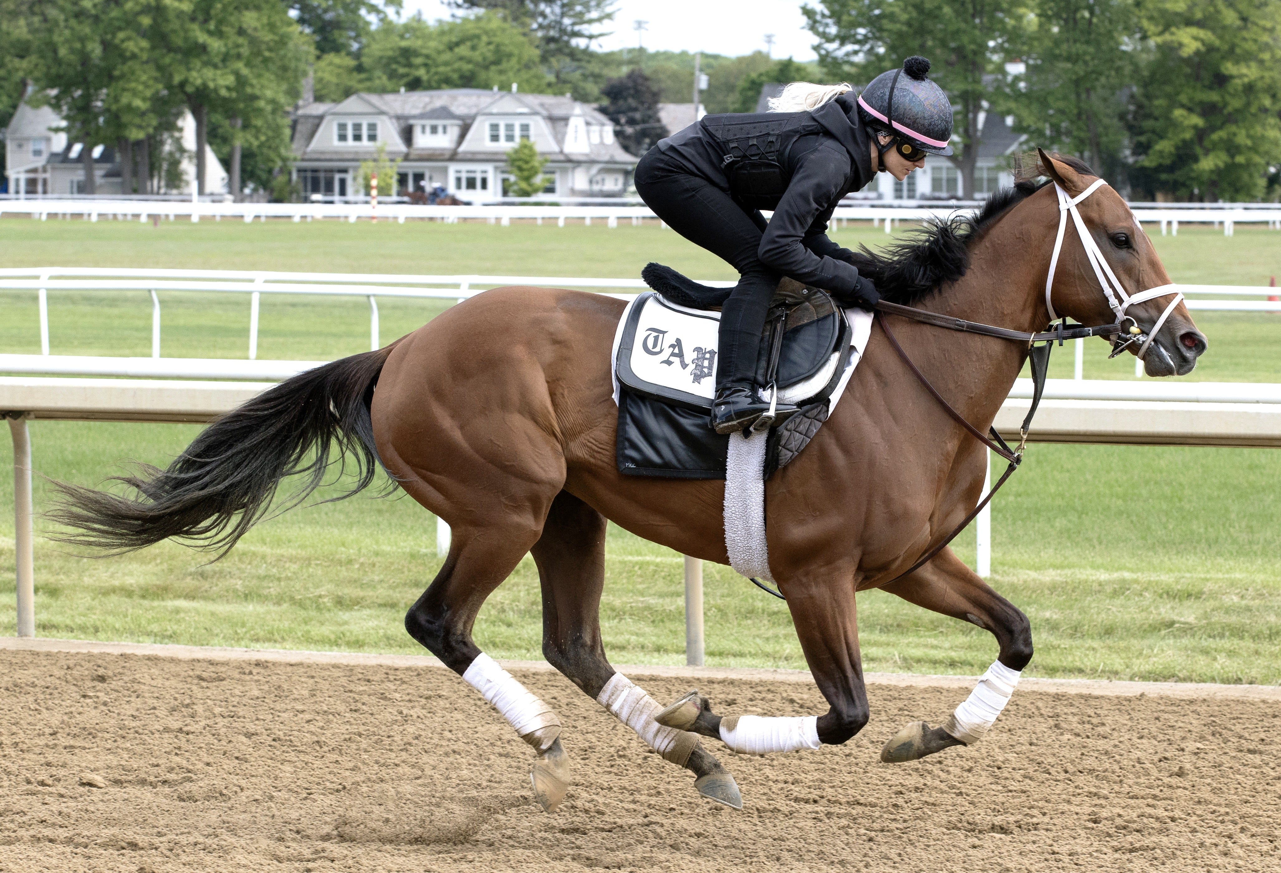 Belmont 2026: Renegade draws post 4 in field of nine, installed as 2-1 favorite