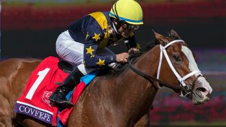 Breeders' Cup 2020 | Daily Racing Form