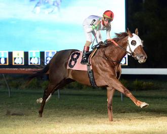 Deviant will be pointed to Texas Turf Mile at Sam Houston - Daily Racing Form