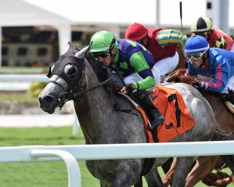 Harry's Ontheloose wins the North Miami Beach Stakes at Gulfstream Park