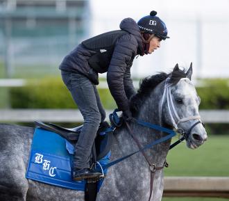 Knicks Go Resurfaces As Met Mile Highweight On Loaded Belmont Stakes Undercard