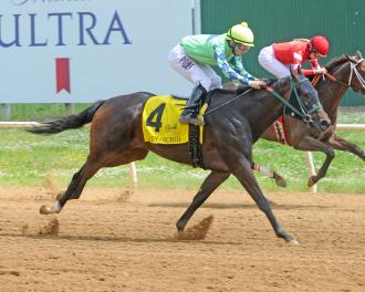 Will Rogers Downs Daily Racing Form