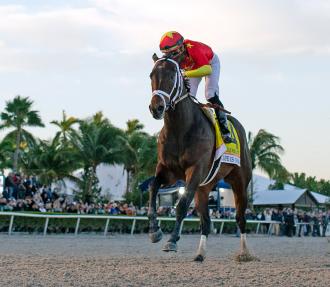 DRF en Español | Daily Racing Form