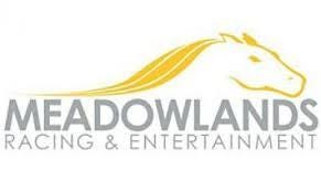 Meadowlands logo (new)