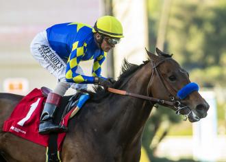 ring bolsa equestrian