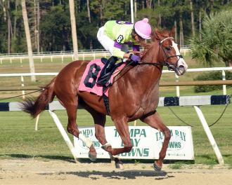 Florida Derby 2021 Daily Racing Form