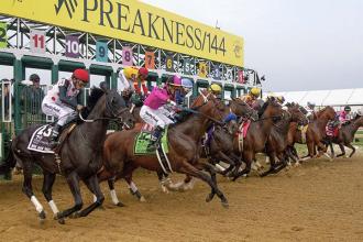 Preakness Race Chart