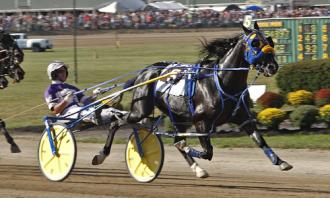 Harness: Bell 'Betting' on a fresh stallion with a pair of rookie 