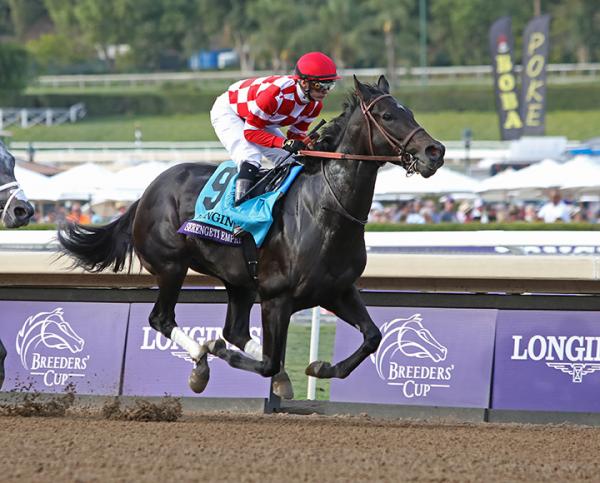 The file could not be written to the cache fix download The file could not be written to the cache fix download