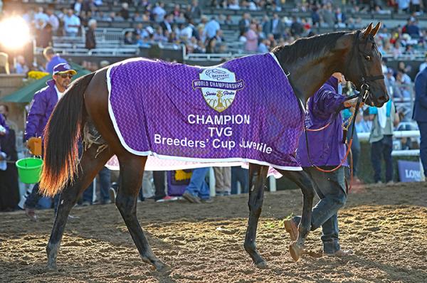 2014 Breeders Cup Charts