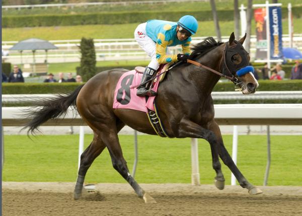 2009 Kentucky Derby Results Chart