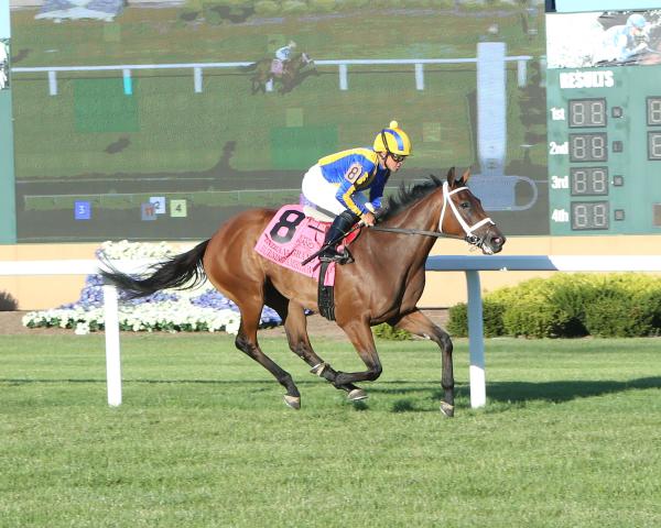 Indiana Grand 2021 Live Horse Racing Track News Drf