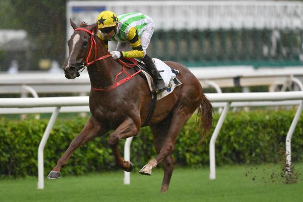 Hong Kong Blaze Warrior Pair Of Class 1s Top Final Sha Tin Card Of Season