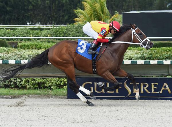 Gulfstream Park West 2019 Live Horse Racing Track News DRF Gulfstream Park West 2019 Live Horse Racing Track News DRF