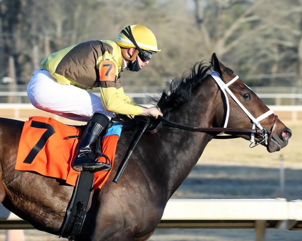 Kentucky Derby Caddo River Out Opens Spot For Brooklyn Strong