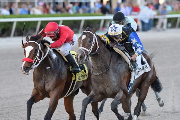 Drf S Horse Racing Playbook For Friday August 20 2021