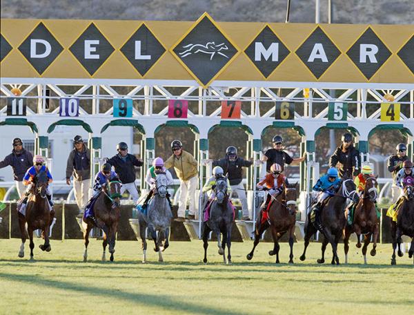 Horse Shortage A Concern As Del Mar Summer Meet Approaches