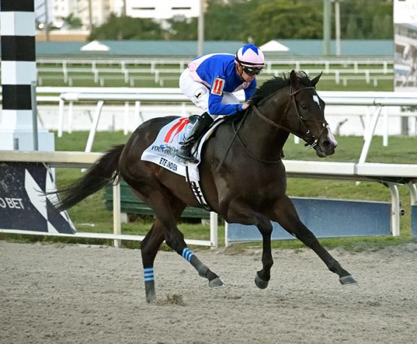 Weekend Gameplan For March 28 2020 Picks For Florida Derby Sand Springs Stakes Sanibel Island Stakes