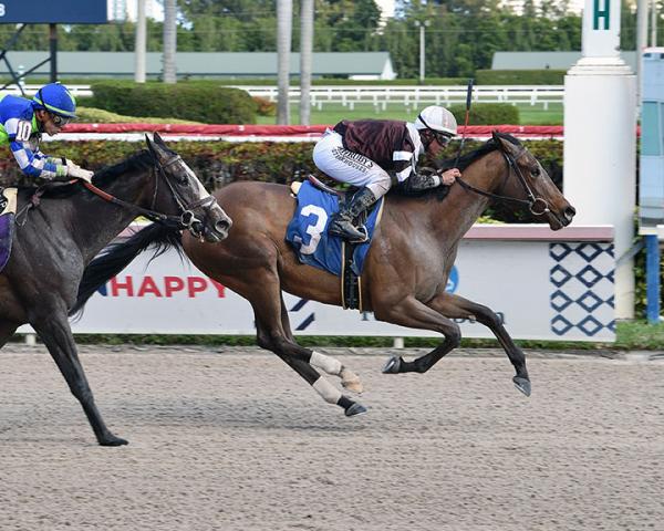 Finding Fame wins a Feb. 23 maiden race at Gulfstream Park