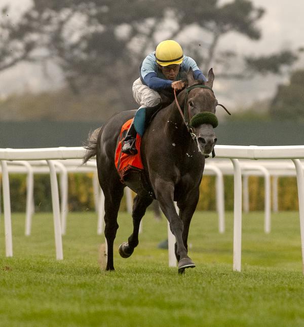 Jungle Cry Turns In Strong Performance In Robert Dupret Derby