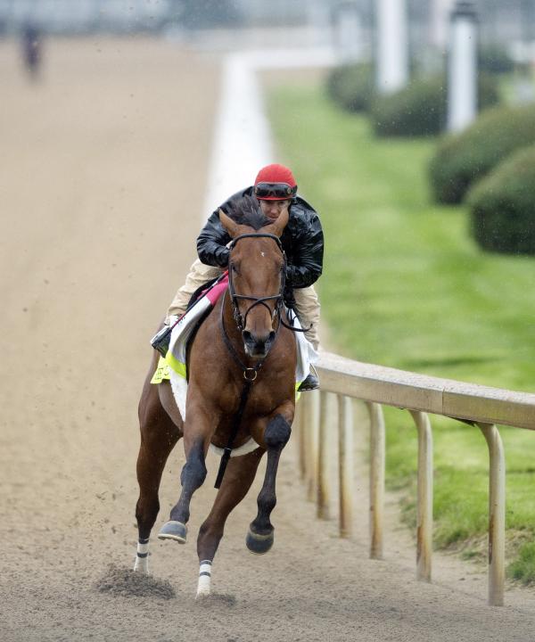 2015 Kentucky Derby Results Chart