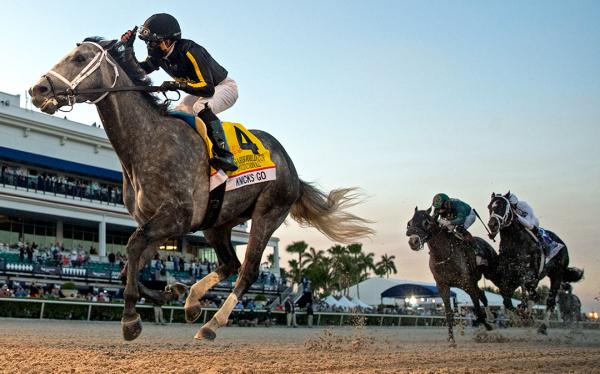 Main Contenders Get Their Work In For Saudi Cup