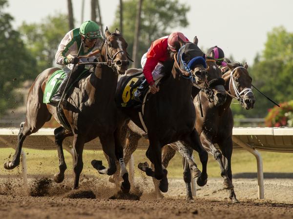 Law Abidin Citizen wins Oak Tree 7-3-2021