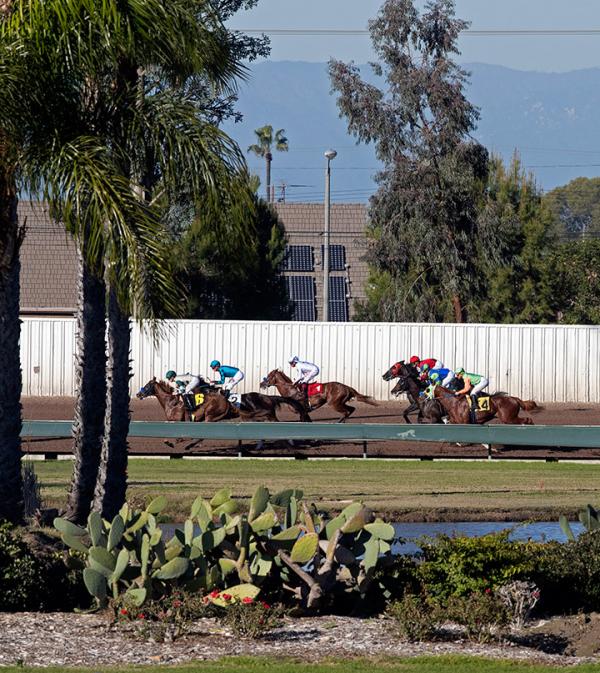 Los Alamitos sets alltime handle record