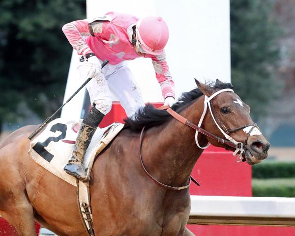 Lone Rock wins the Tinsel Stakes at Oaklawn Park