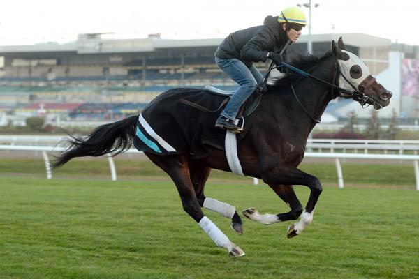 Breeders' Stakes: Mighty Heart's biggest threat to Triple Crown ...