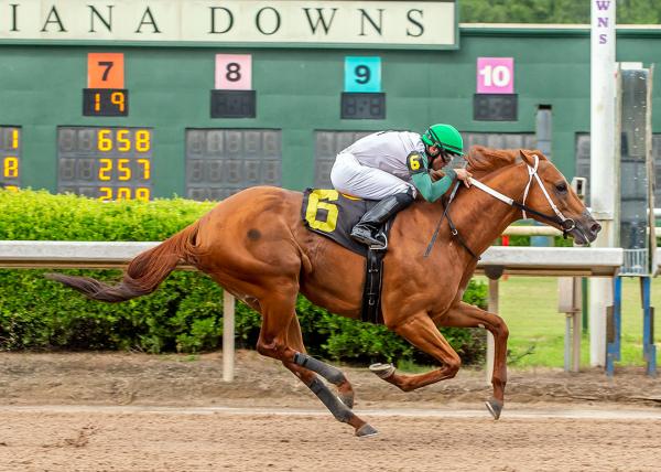 Louisiana Downs Schedule 2022 Louisiana Downs 2022 | Live Horse Racing Track News | Drf