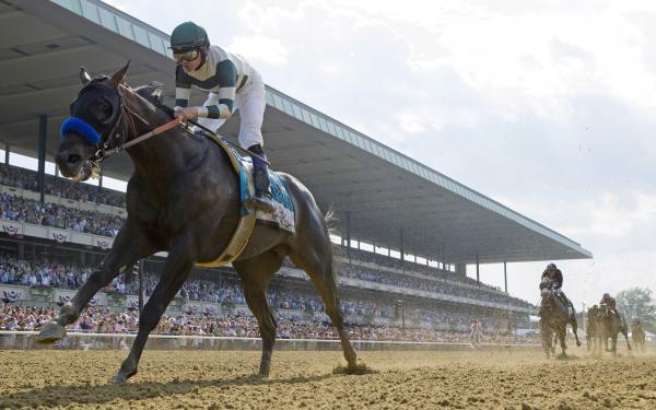 2015 Belmont Stakes Chart