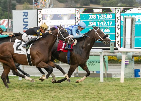 Neptune's Storm wins Lure  Stakes 10-23-2021