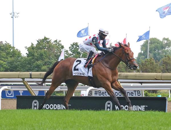 Our Flash Drive Has Easy Time Winning Turf Debut In Ontario Colleen