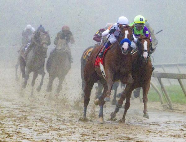 Preakness Race Chart