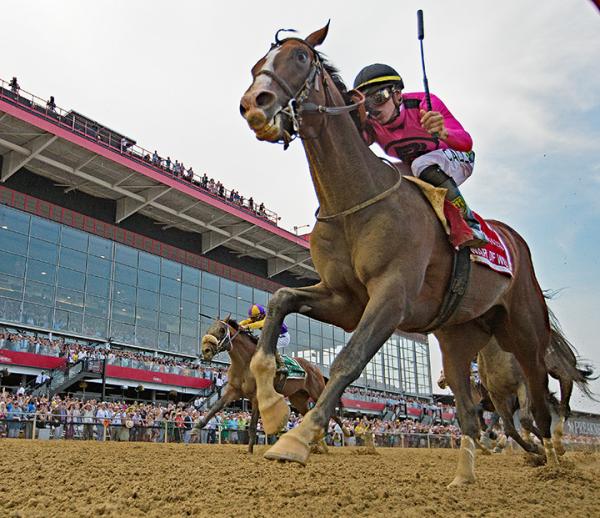 2011 Preakness Chart