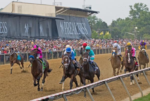 Pimlico Preakness Seating Chart