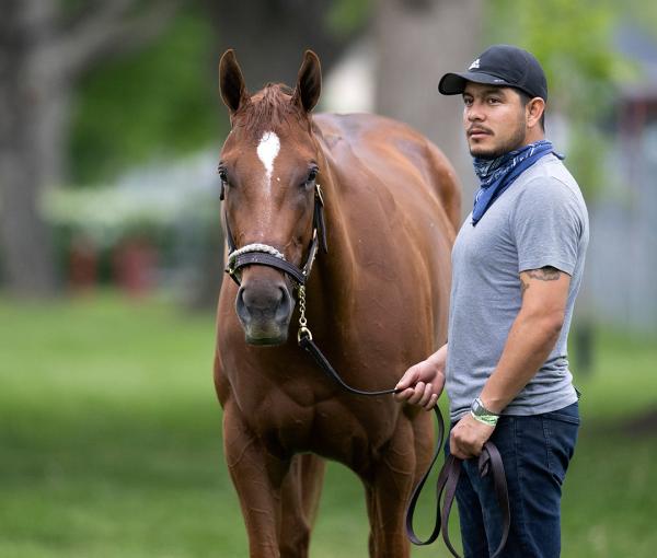 Pass the Champagne at Churchill Downs in April 2021