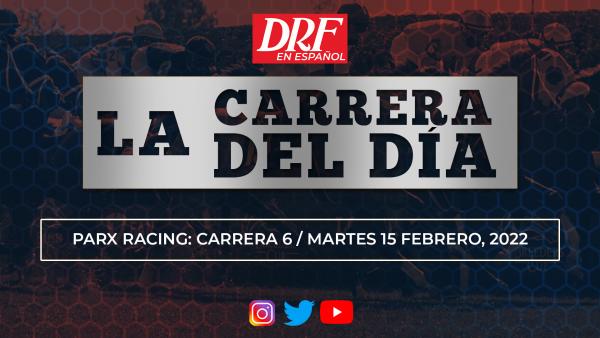 La Carrera Del Dia De Drf 15 De Febrero 22