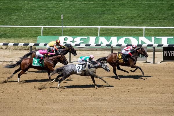 Belmont Park racing